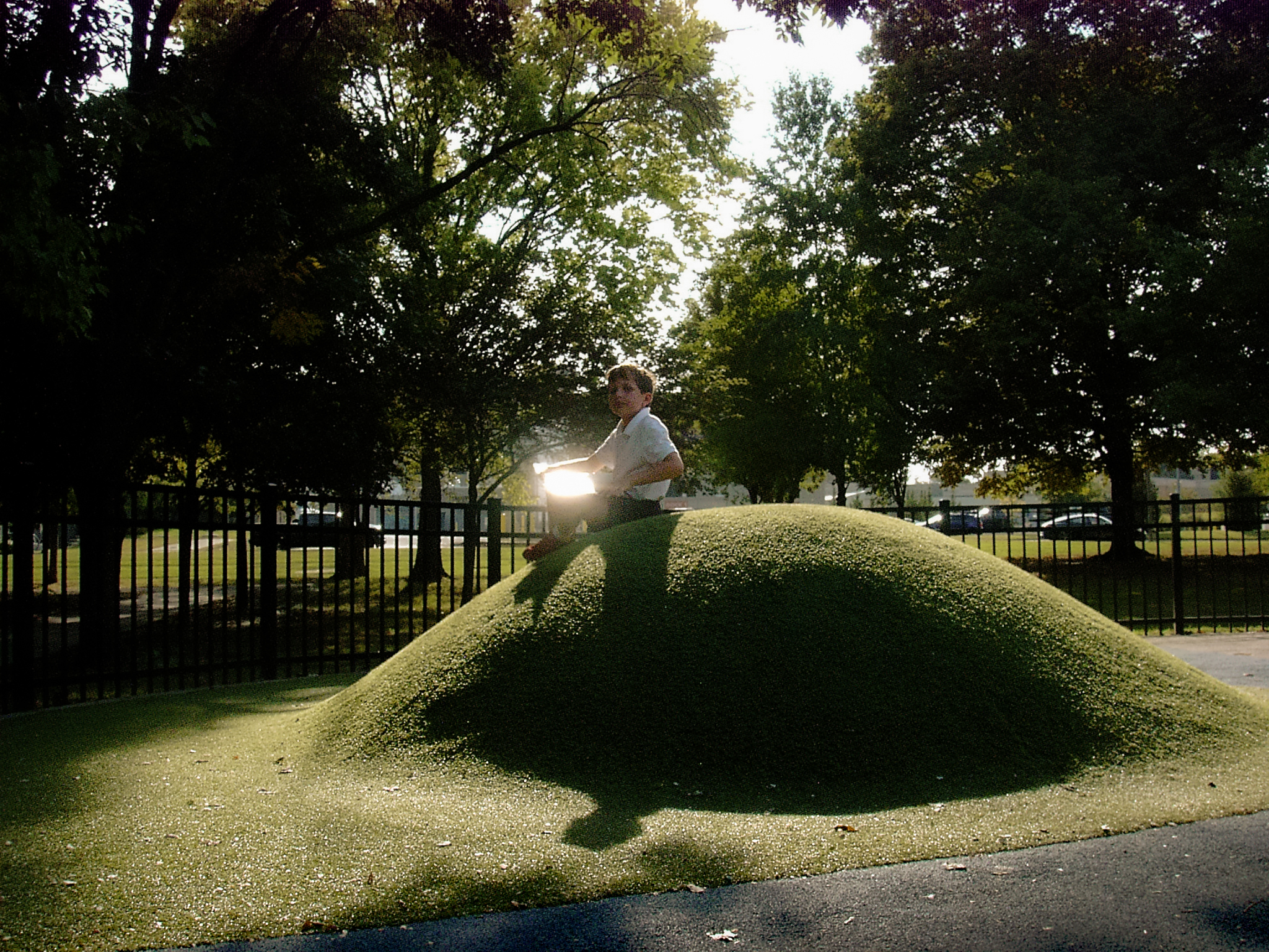 A sculpted green shrub spraying water in a park, white fountain plume caught in dark tree shade